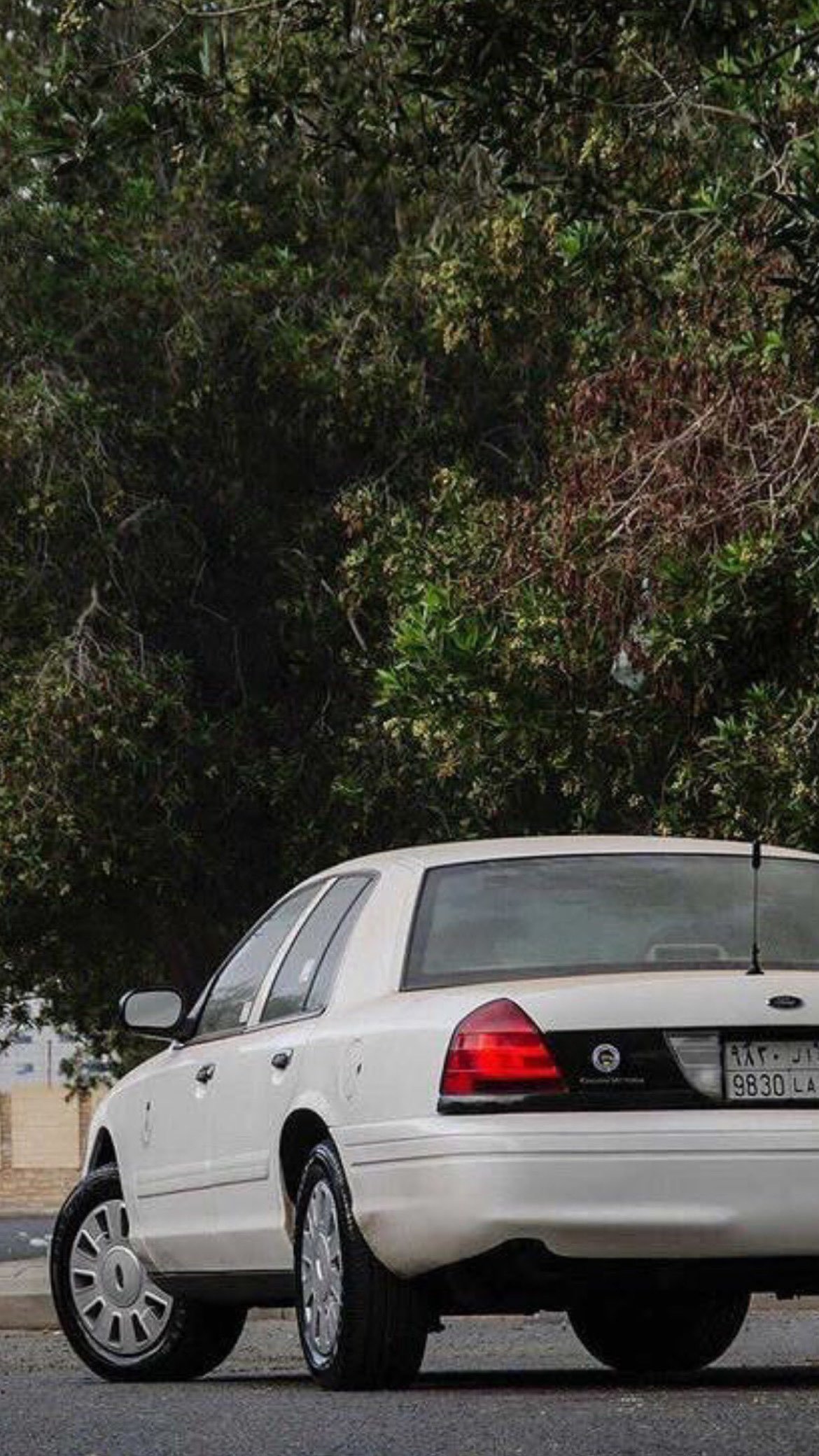 مشاري الجلال