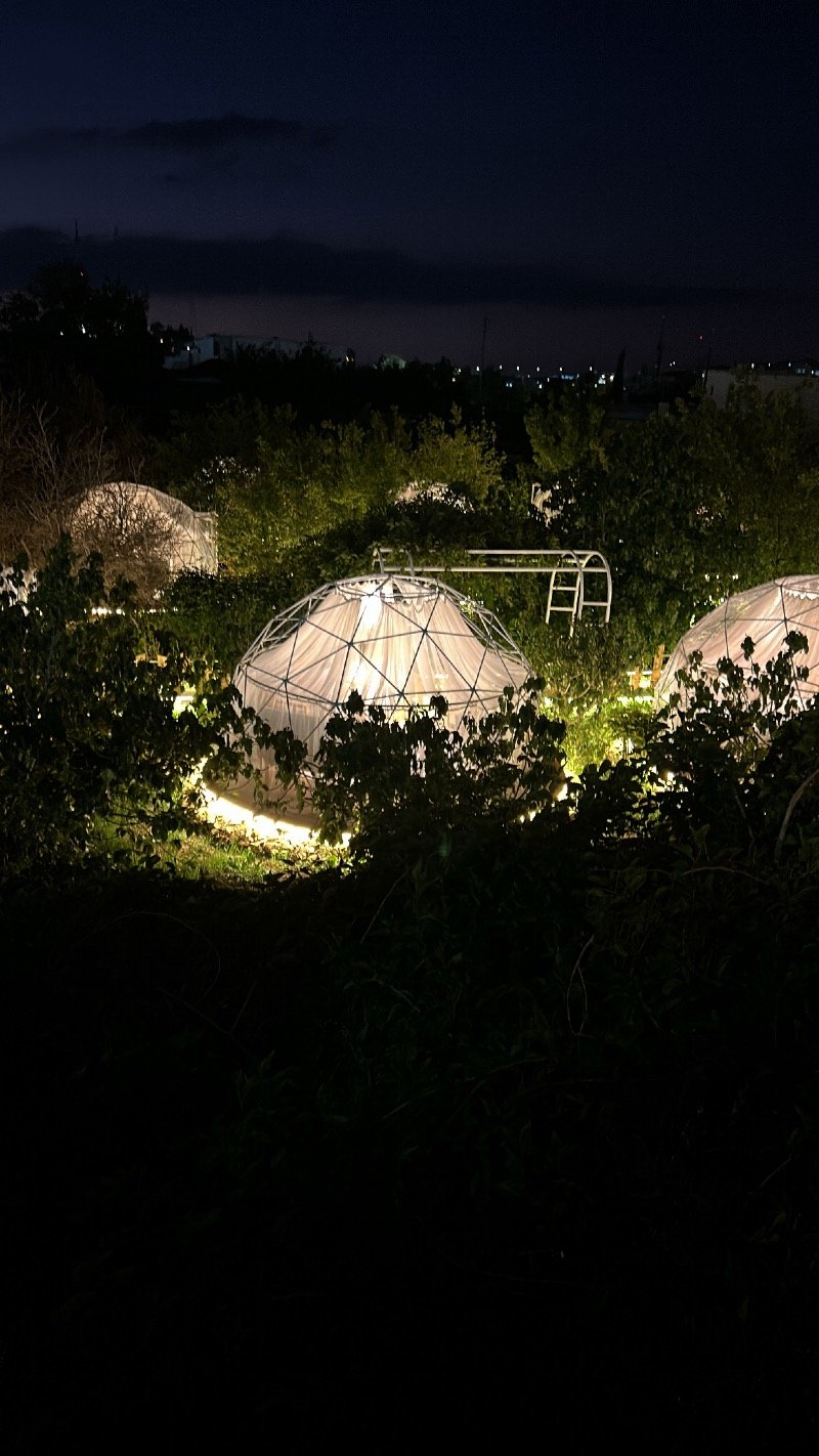 افنان الشريف