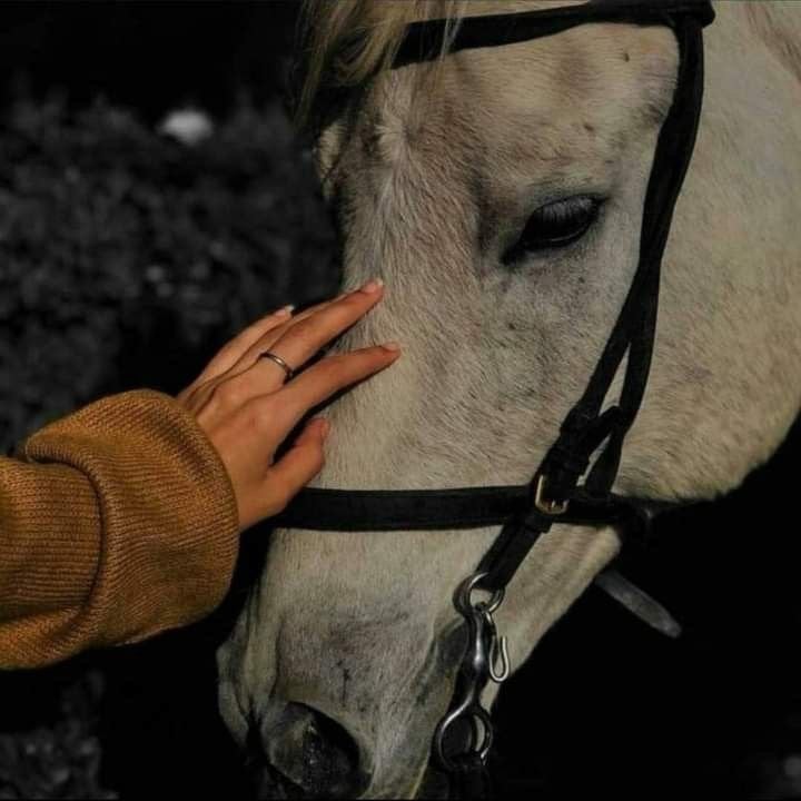 نوره الرشيدي