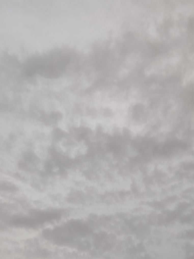 عبد المجيد
