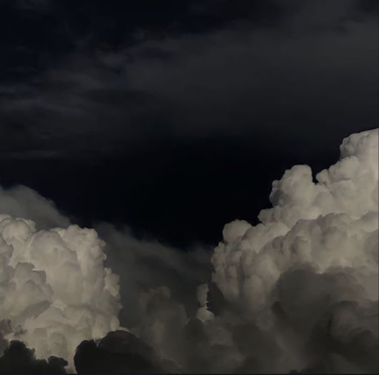 مشعل الغامدي