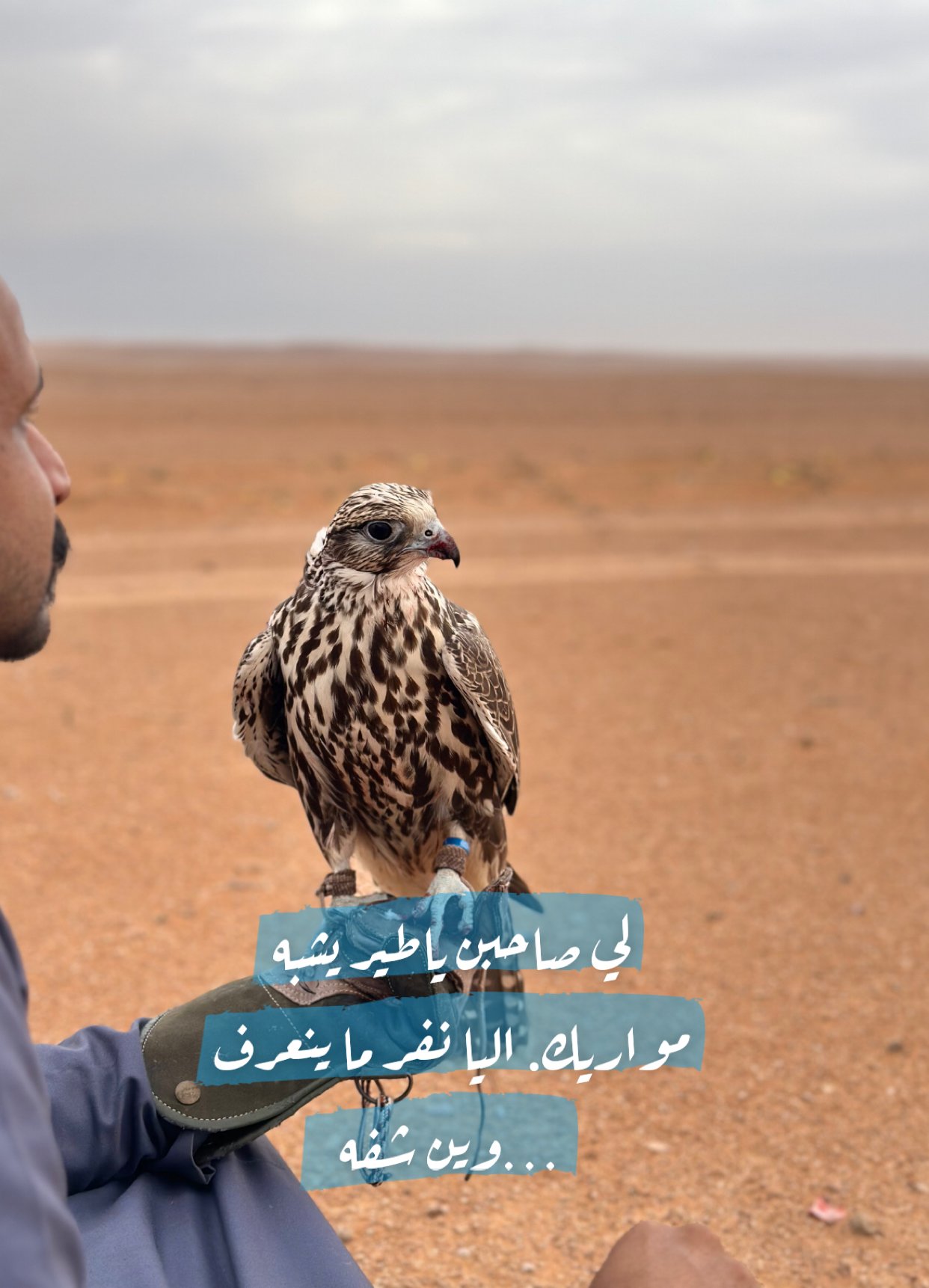 Hamad Alanzi