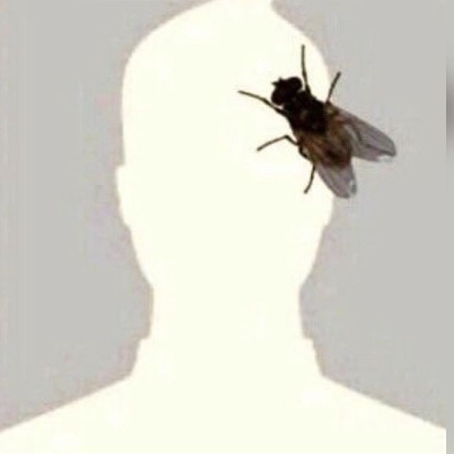 عبدالله سعد