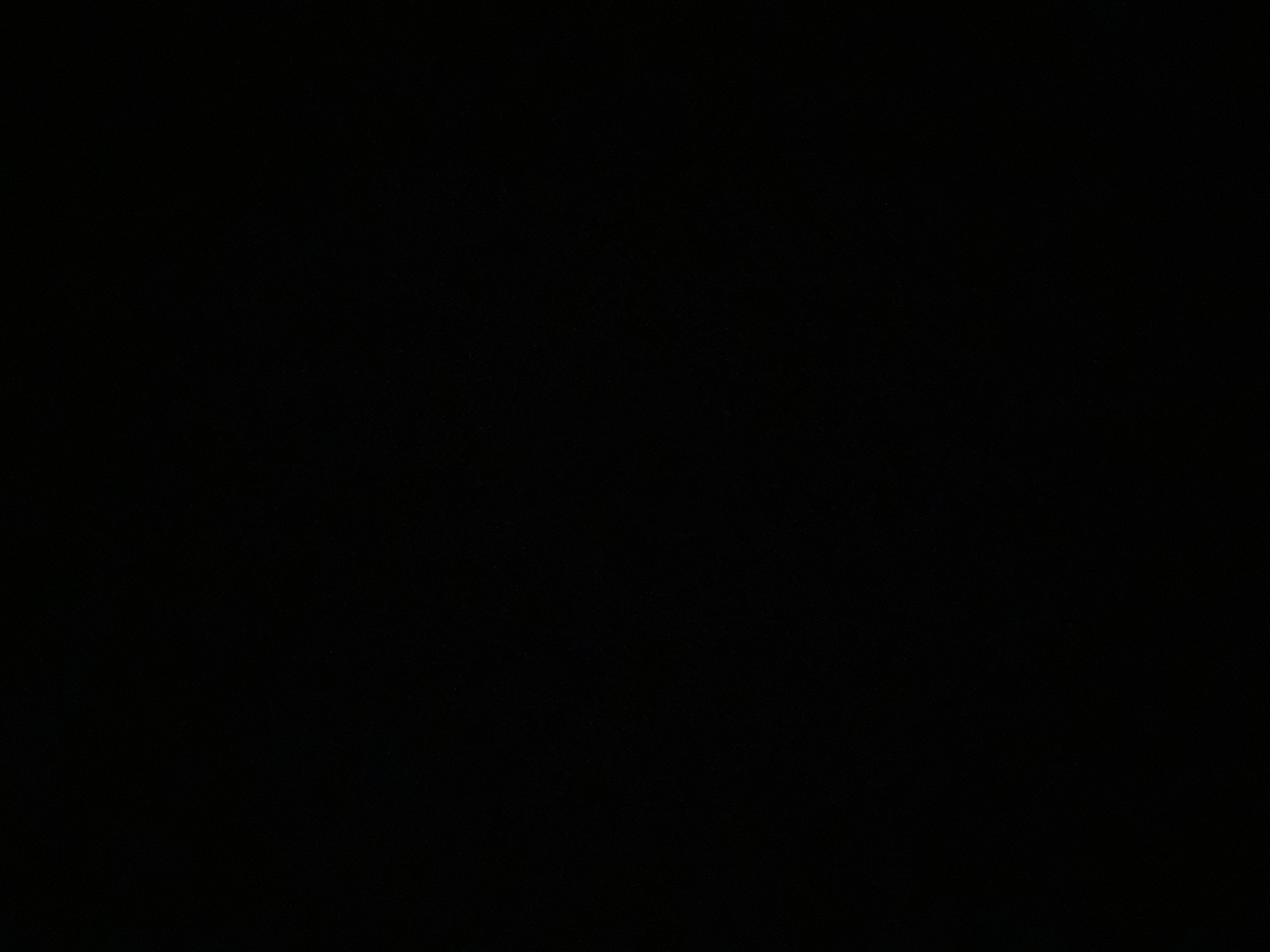 لجين العمري