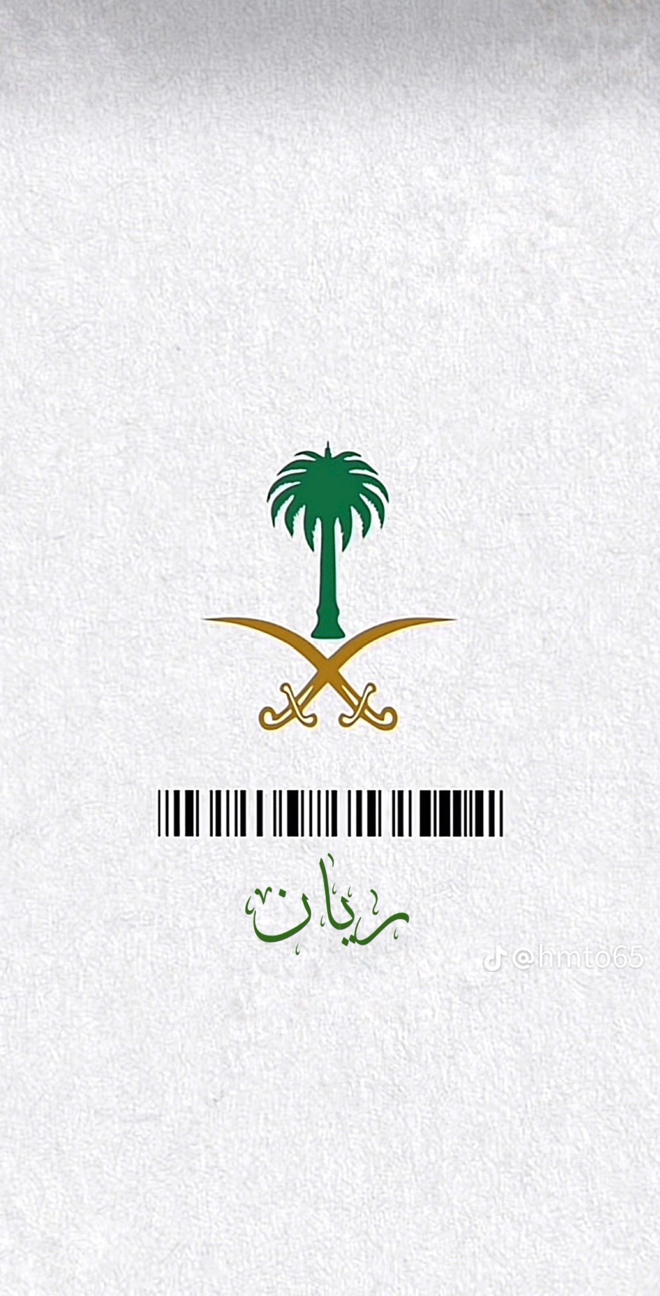 محمد الحميدي