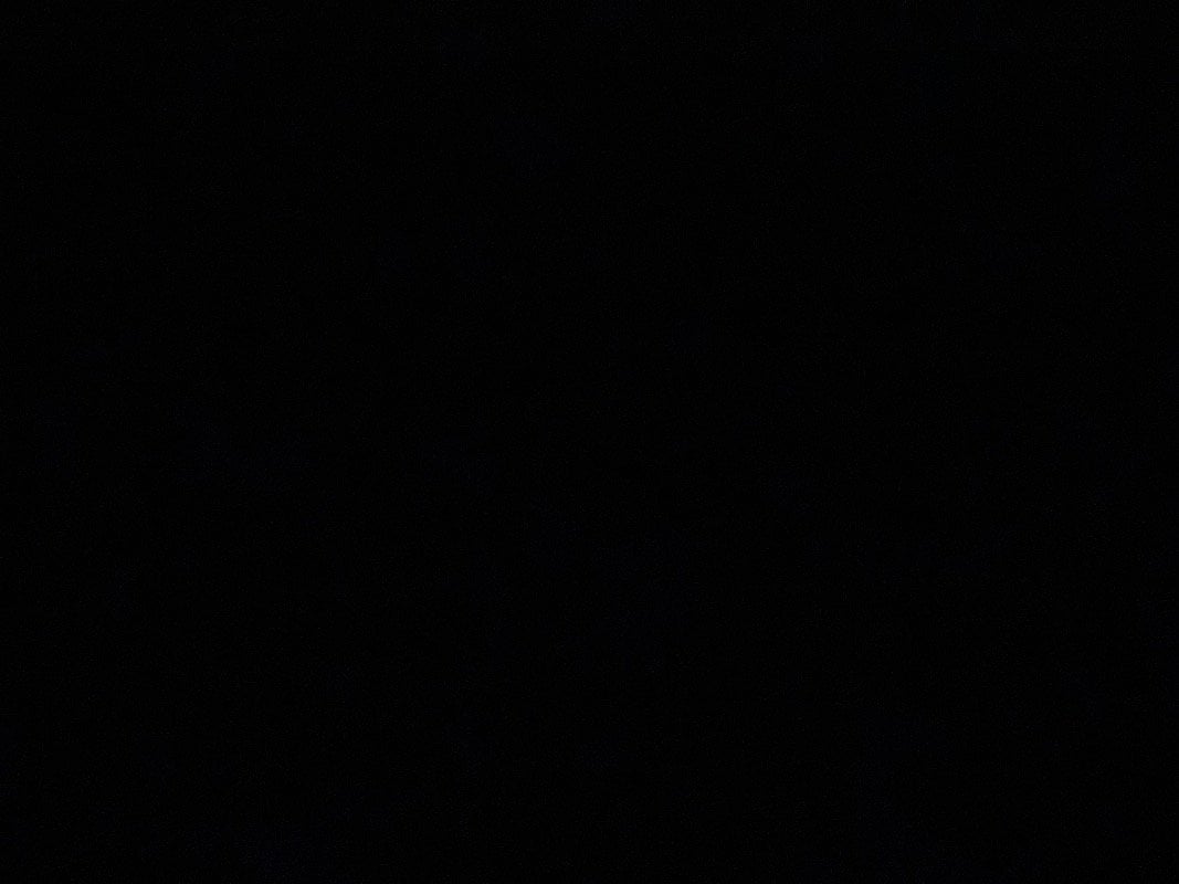 سمر الفضلي