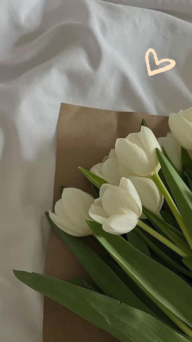 وضحى السبيعي