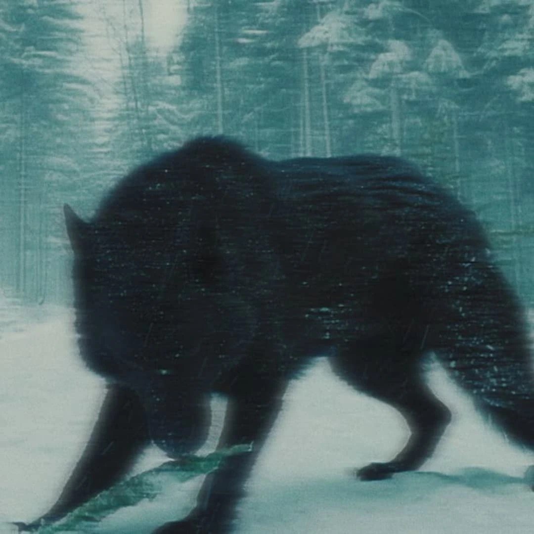 فيصل خلف العنزي