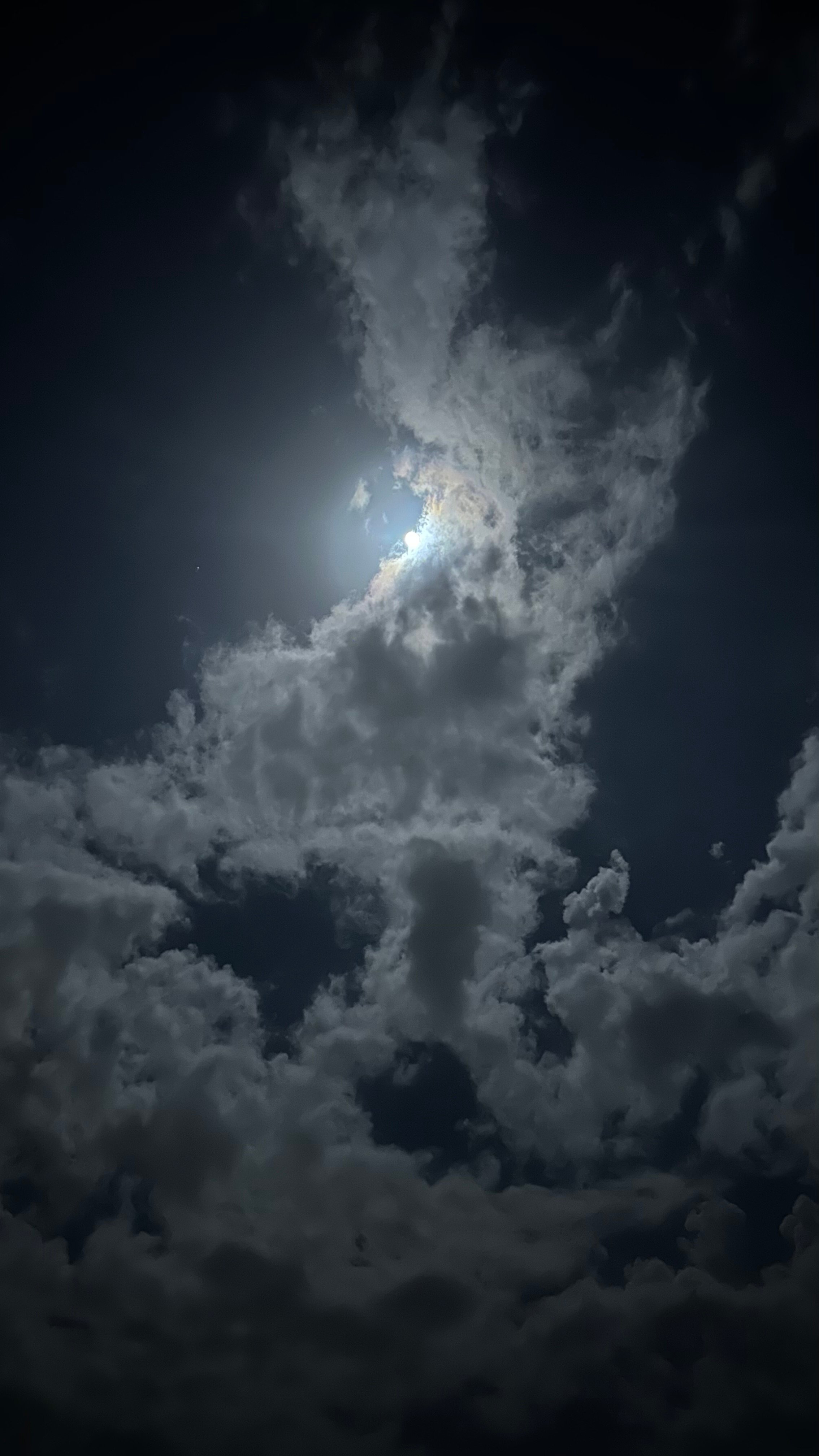 مشاعل الراشدي