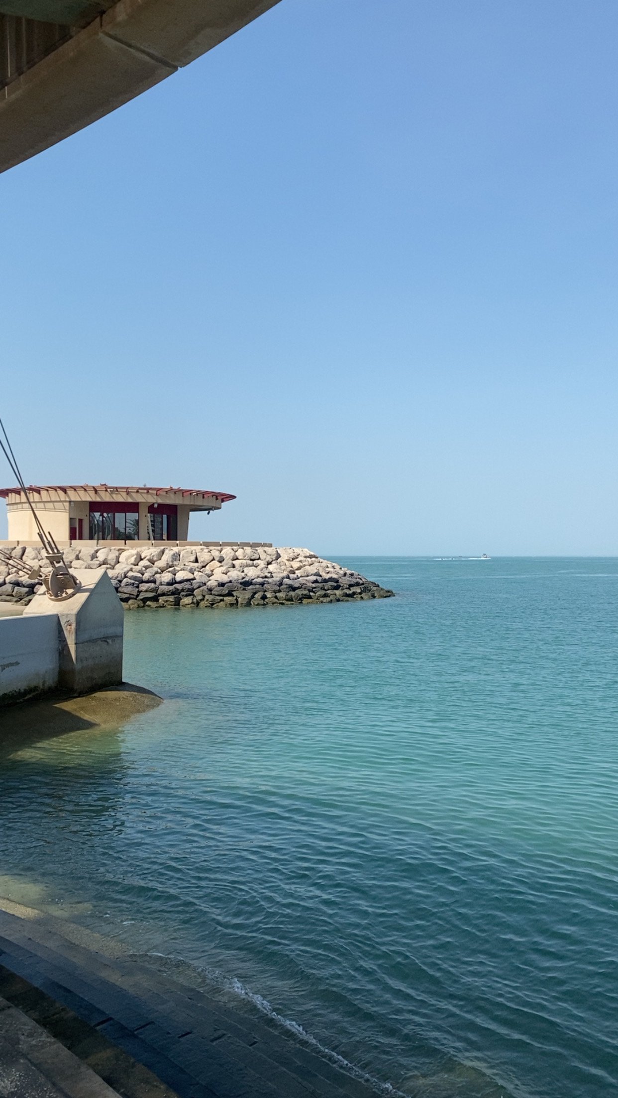 فاطمة الشمري