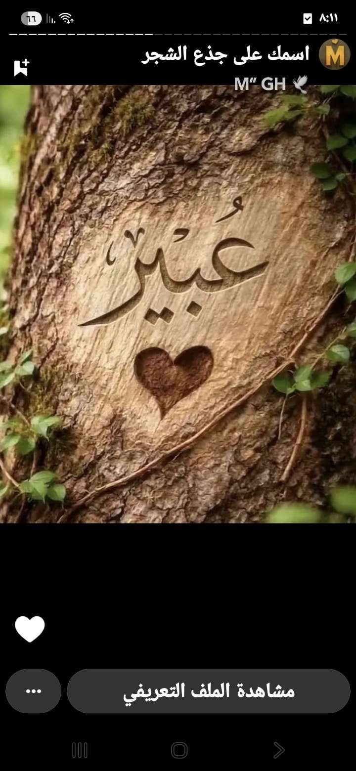 عبير المطلق