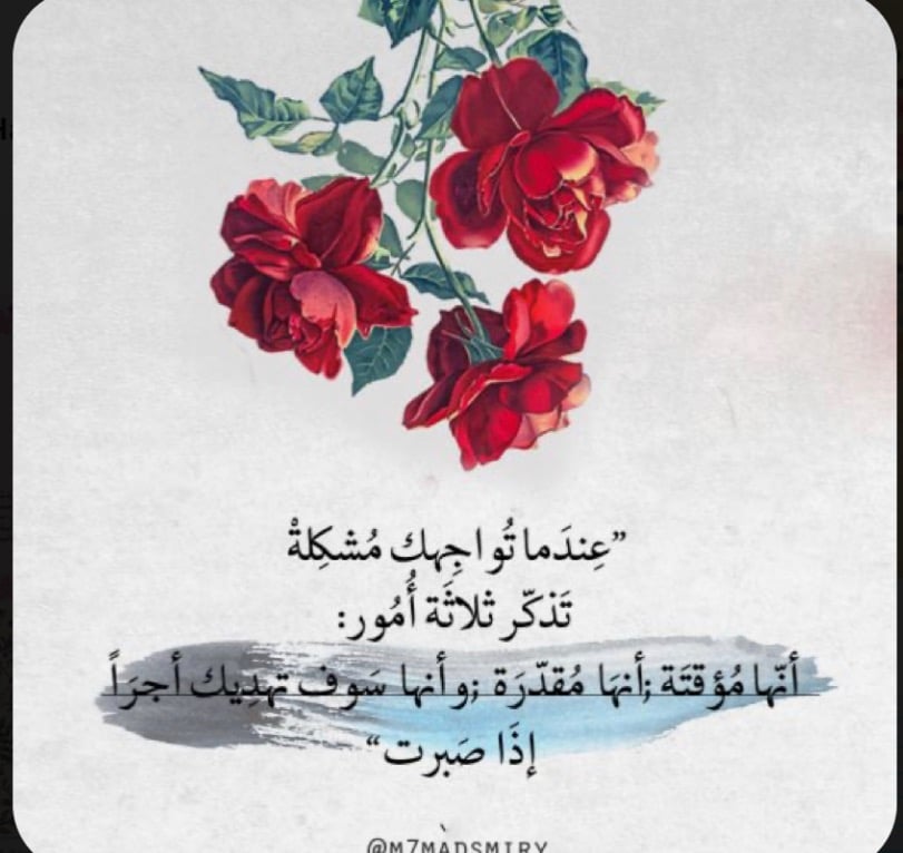 منال الحربي