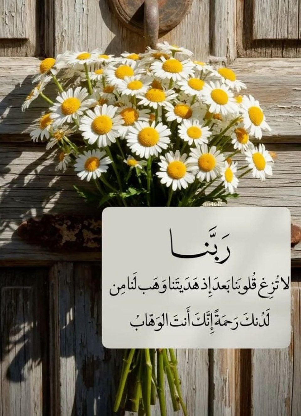 تهاني العتيبي