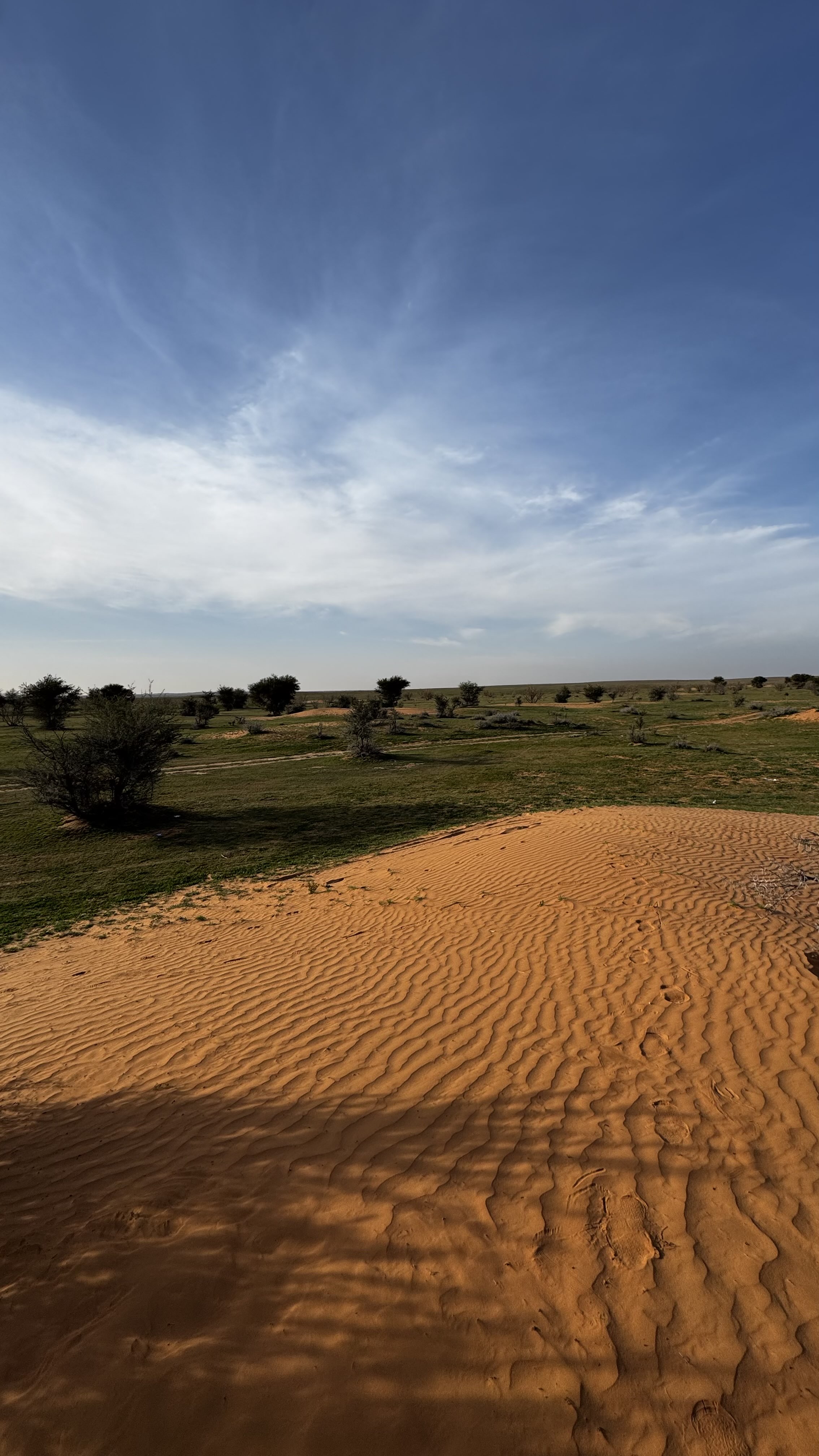 بدر العليان