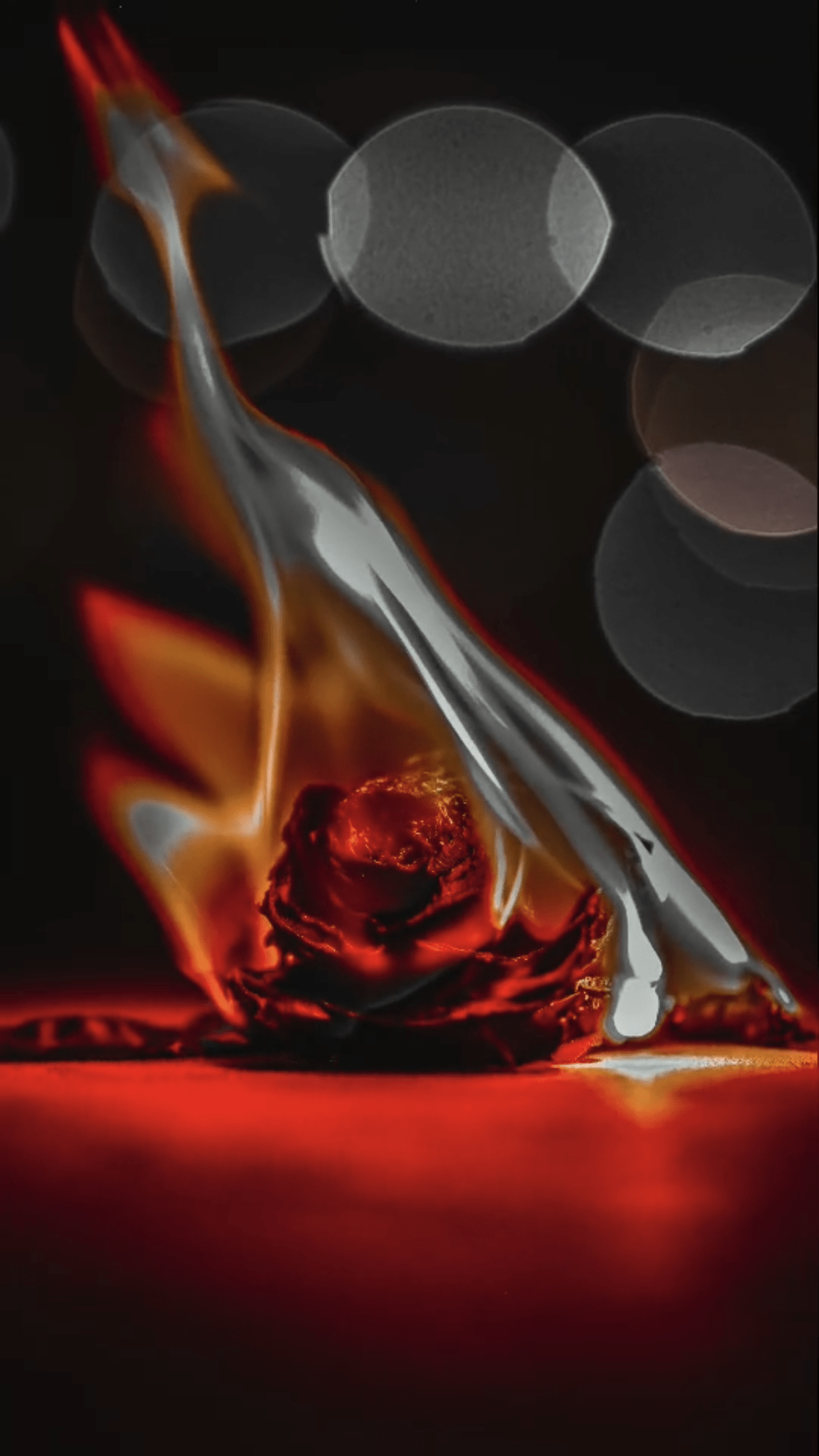 محمد ال حميدان