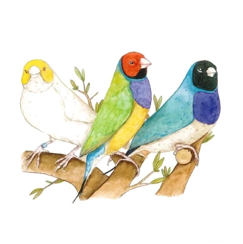 باسم المليفي