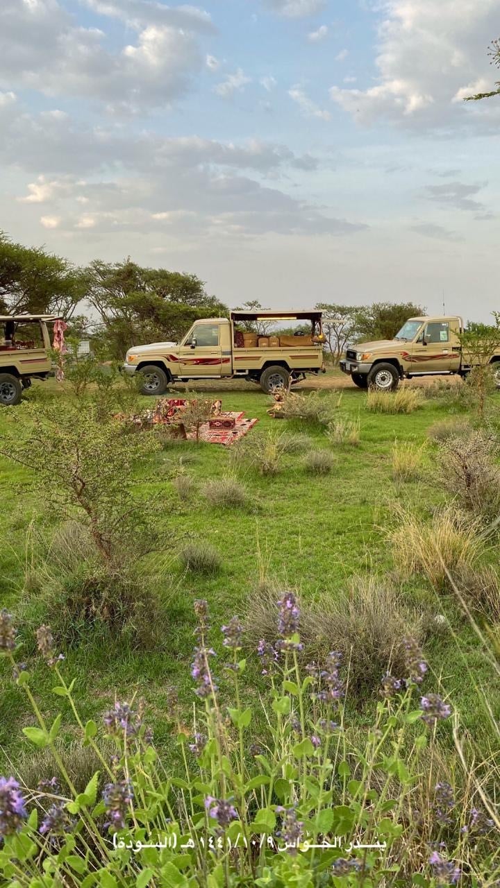 منصور الهويمل