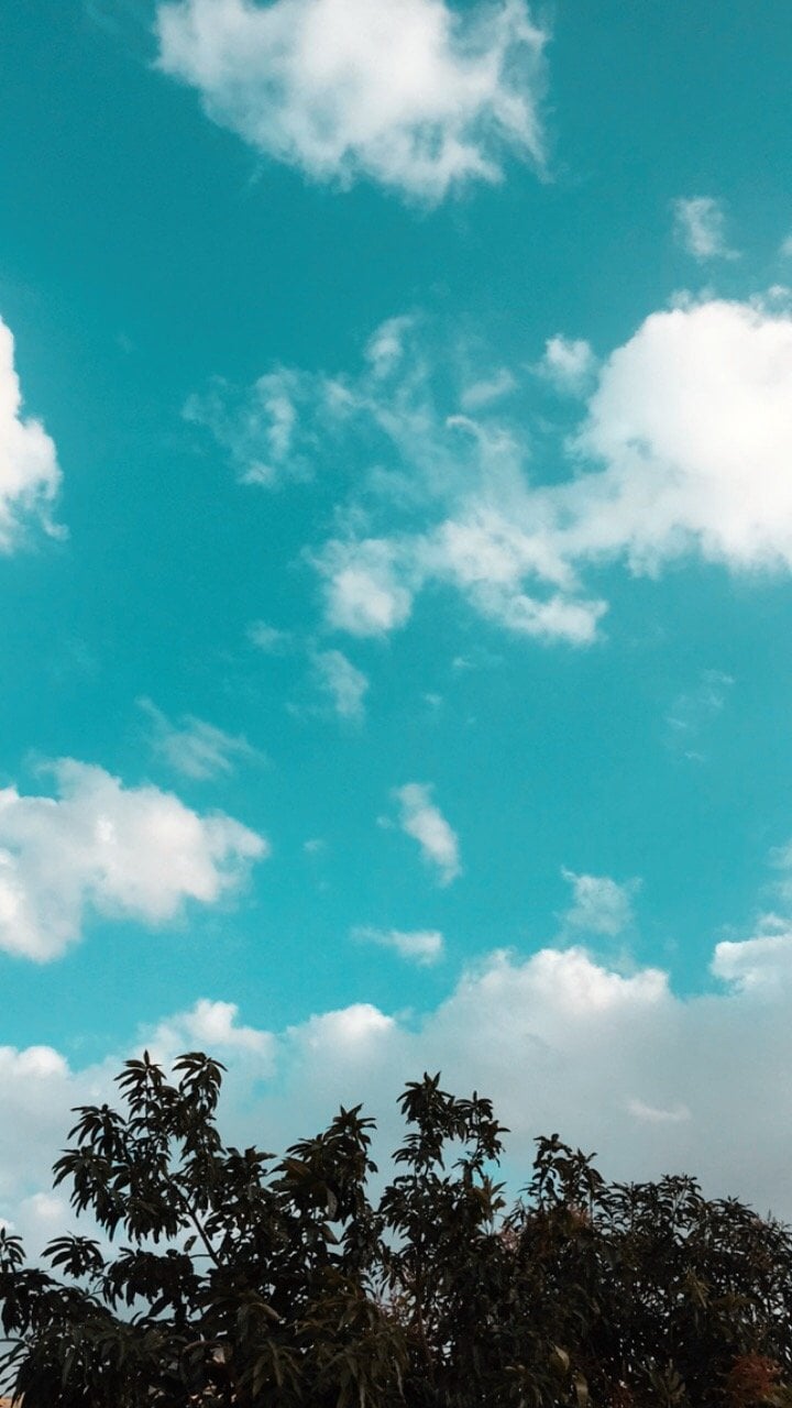 فاطمه الذبياني