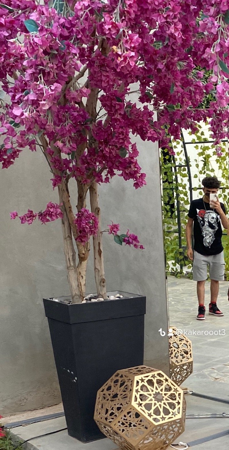 رشيد الاشرم