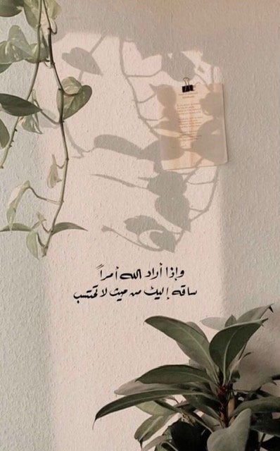 زينب الموسى