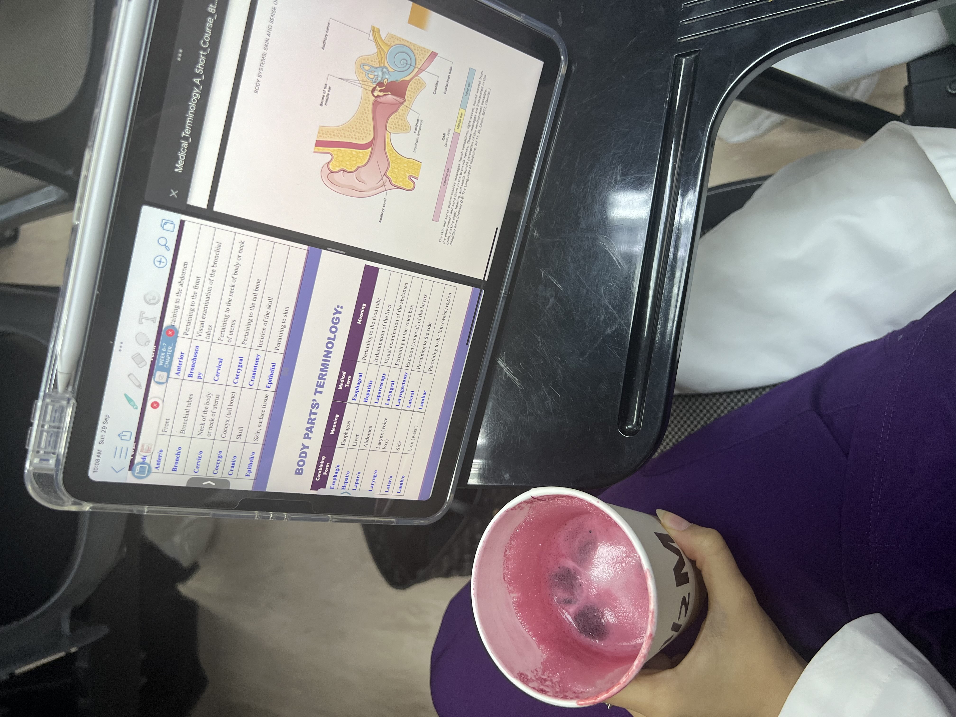 البتول الجبر