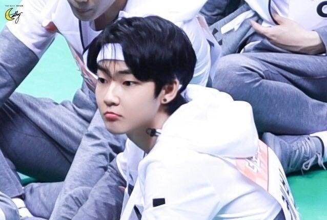 شهد الرشيدي