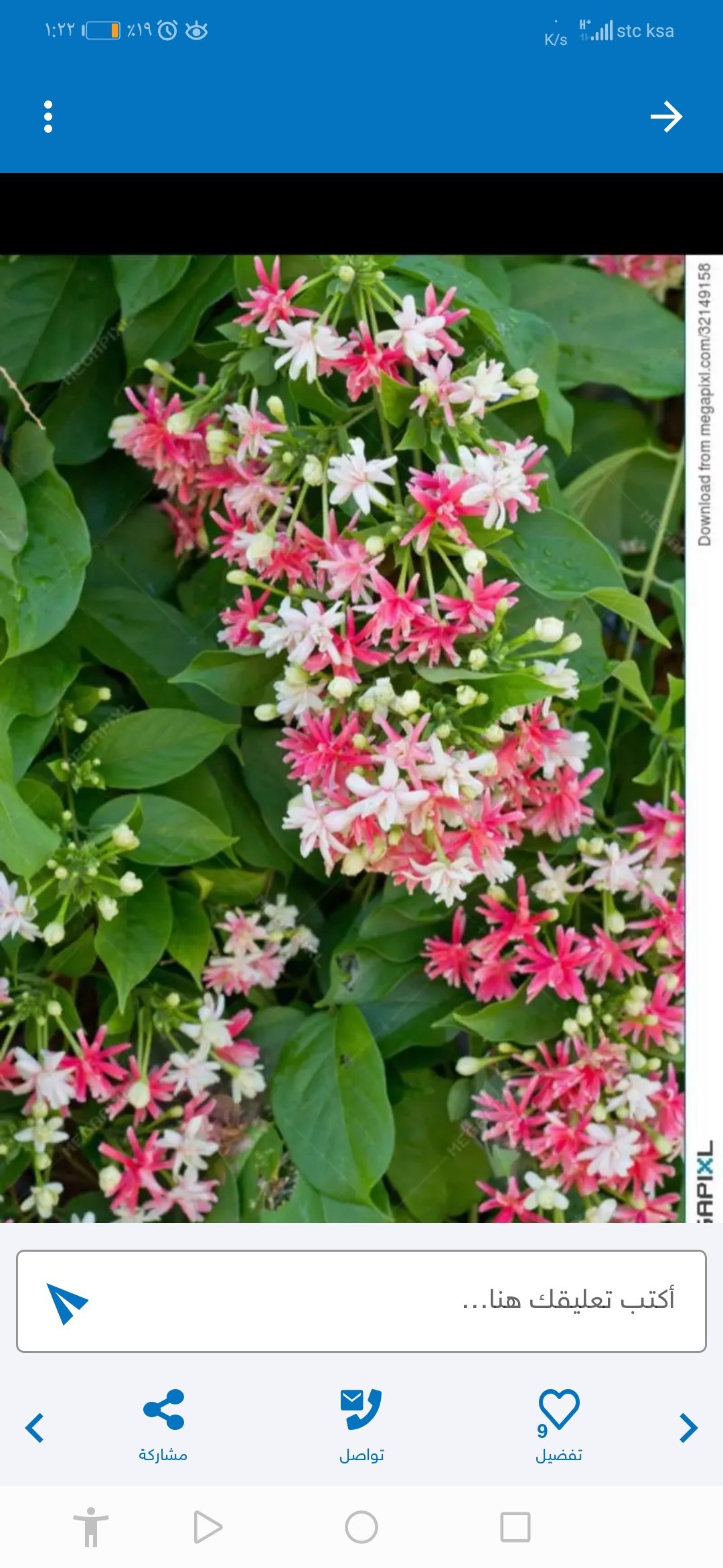 عطيه العبدلي