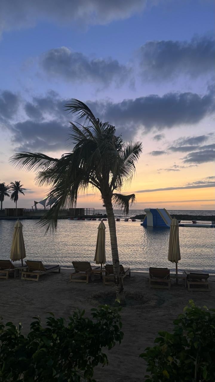 جوري الربيعي