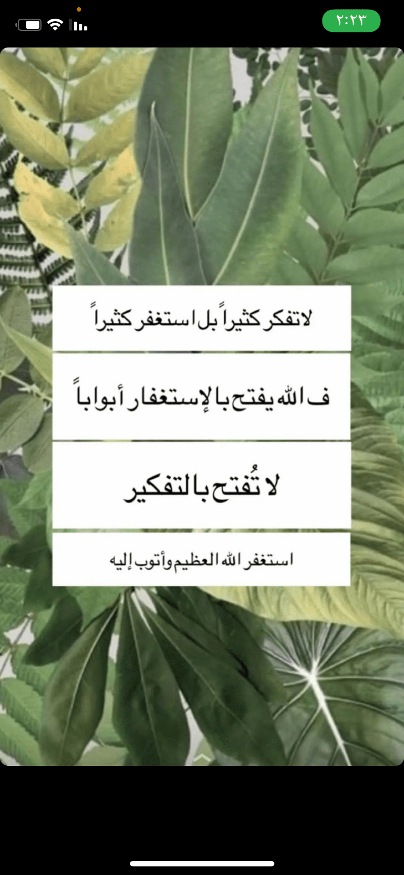 ساره العصيمي