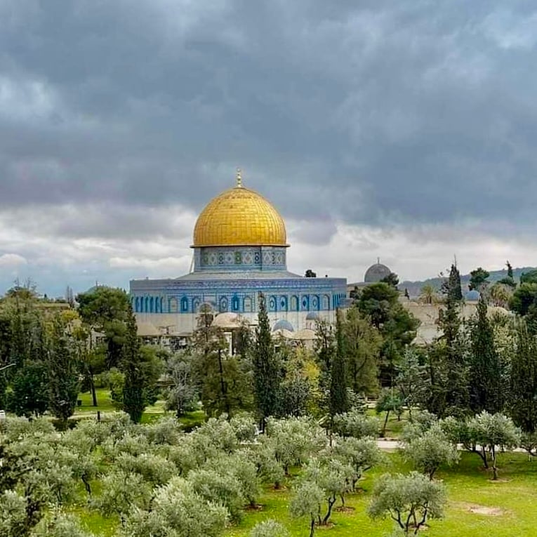 ريان السويلم