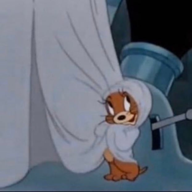 سيفانه عبدالله