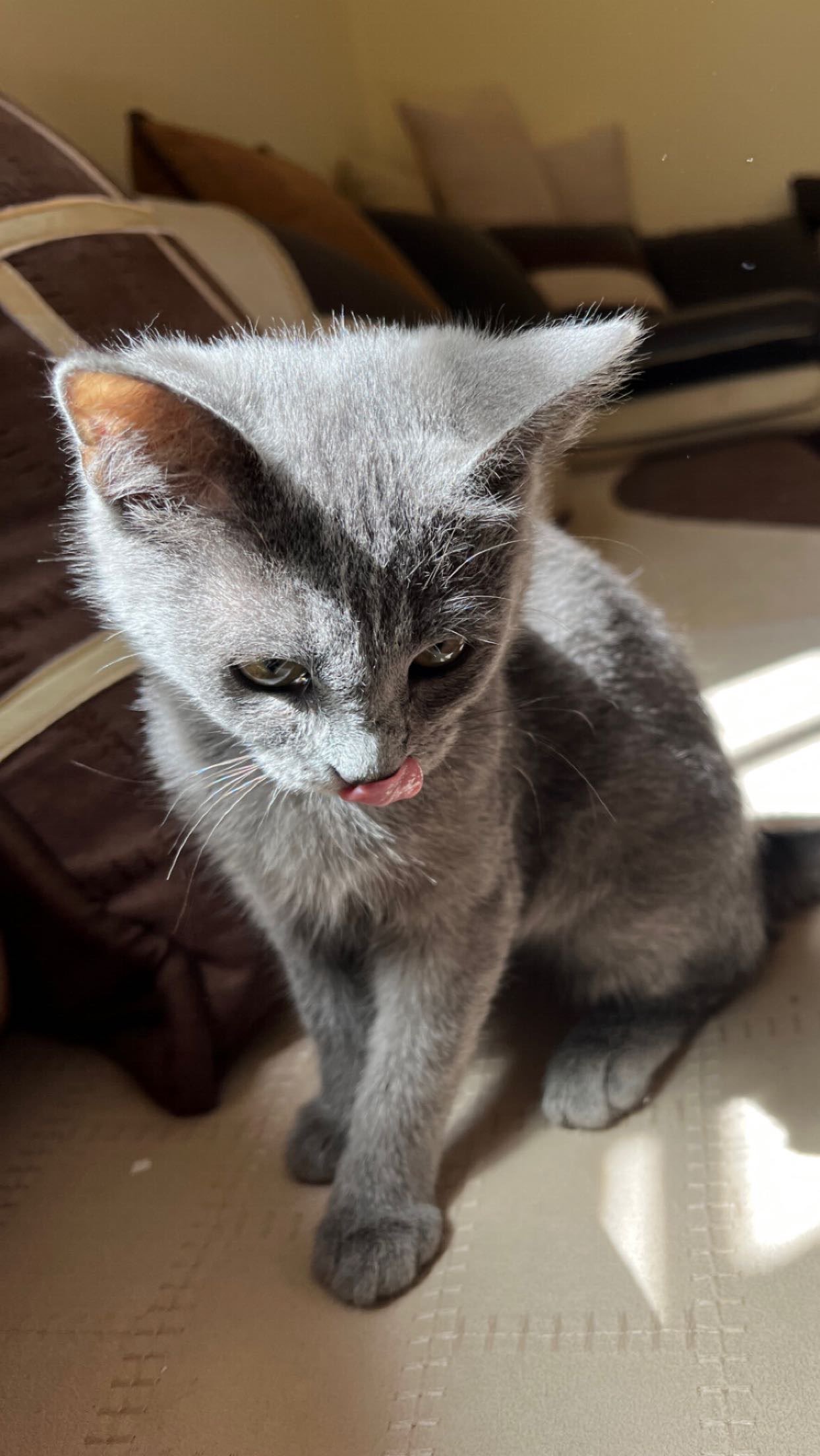 سارة العنزي