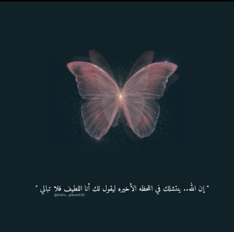 منيرة القحطاني