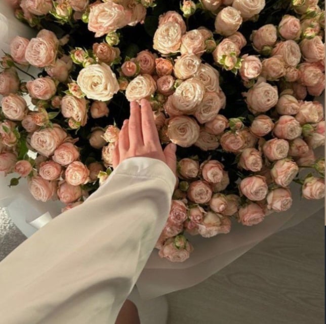 فاطمة حسن