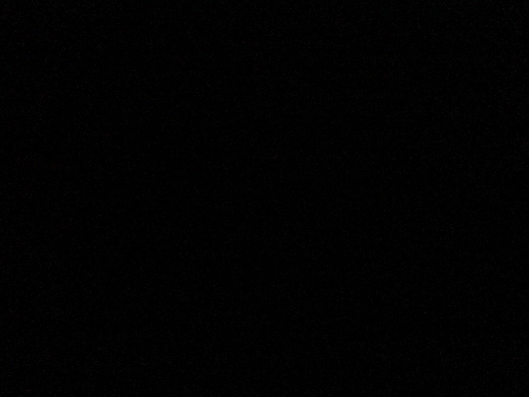 ساره الماجد