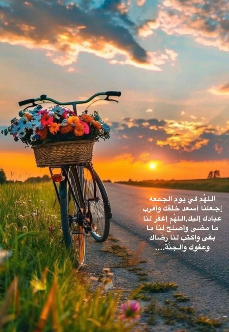 نجوى خيشان البرقاني