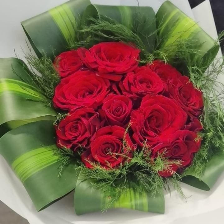 ديما طميحي