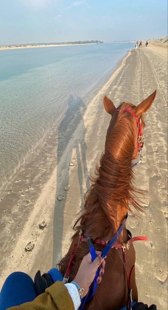 نوره المطيري