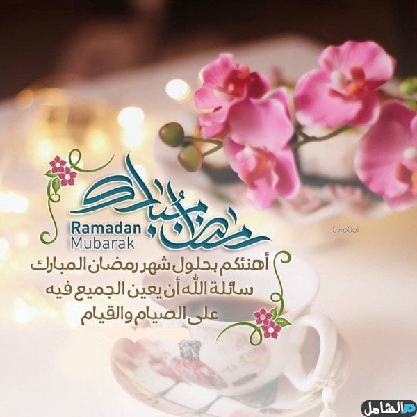 ضيف الله احمد