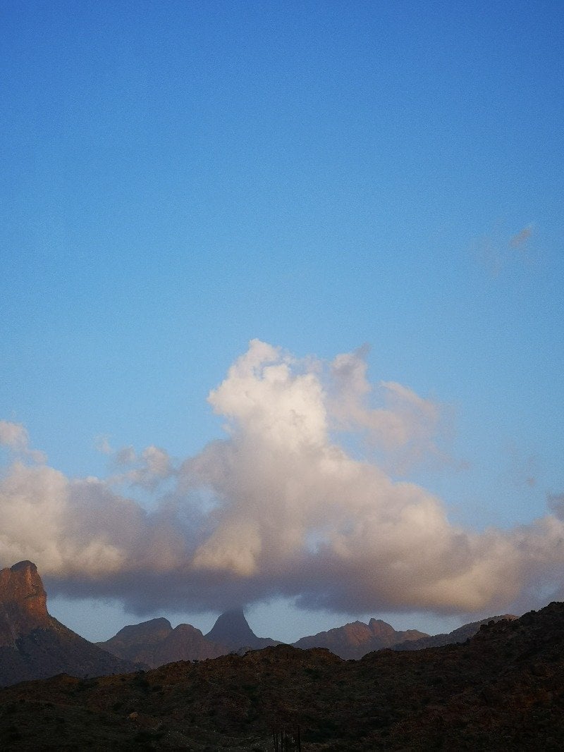 عالية الهمة 77