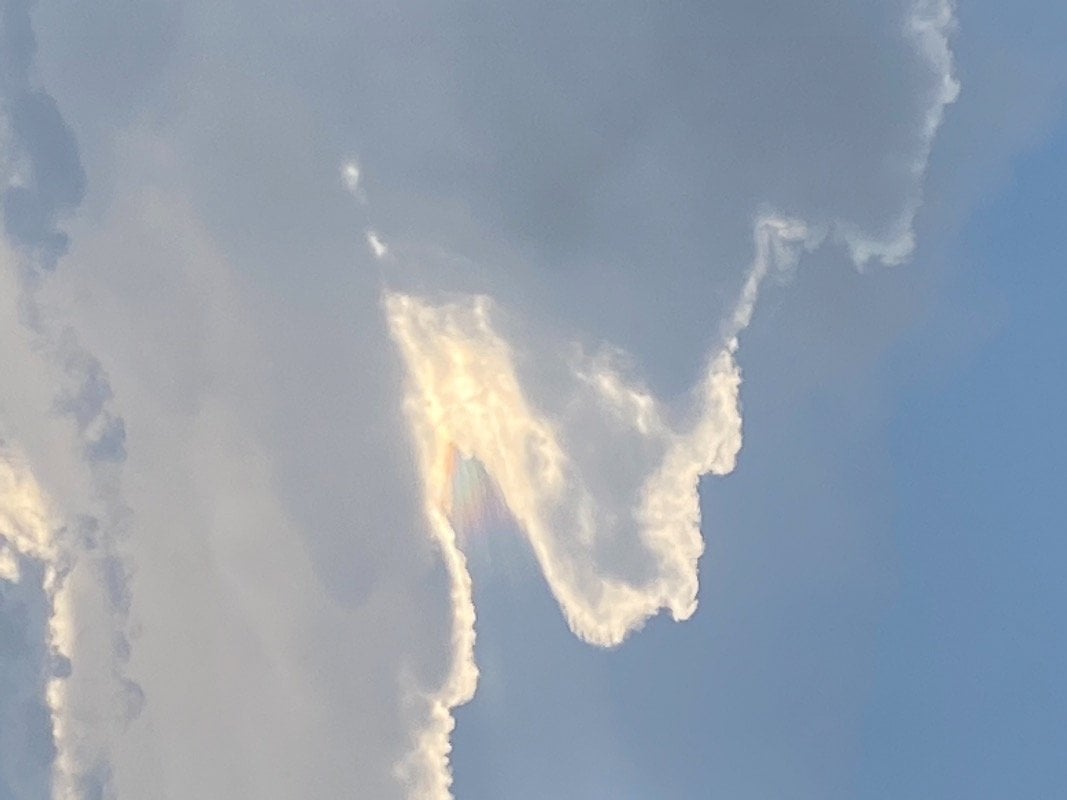 الجود الزهراني