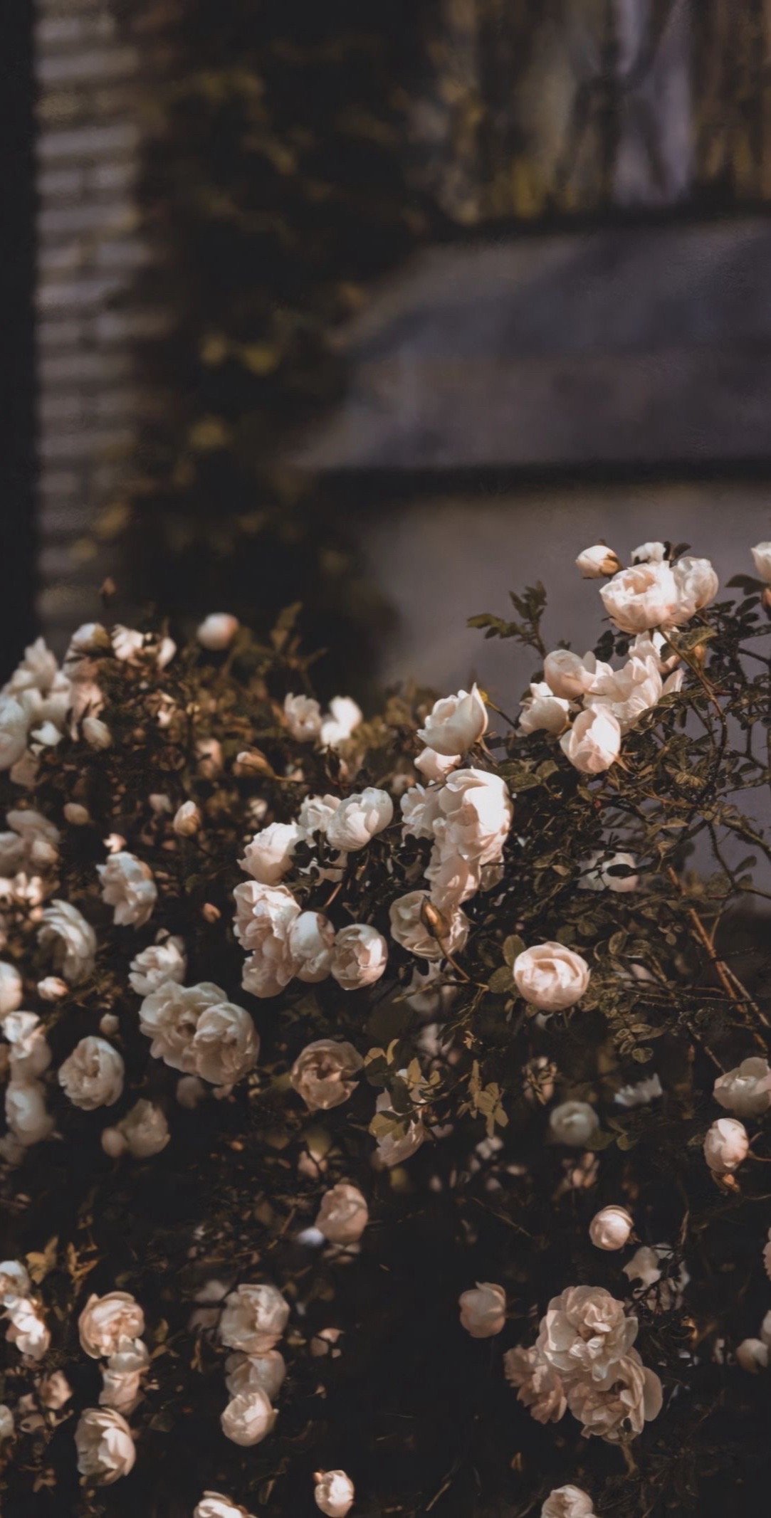 عبدالعزيز مدخلي