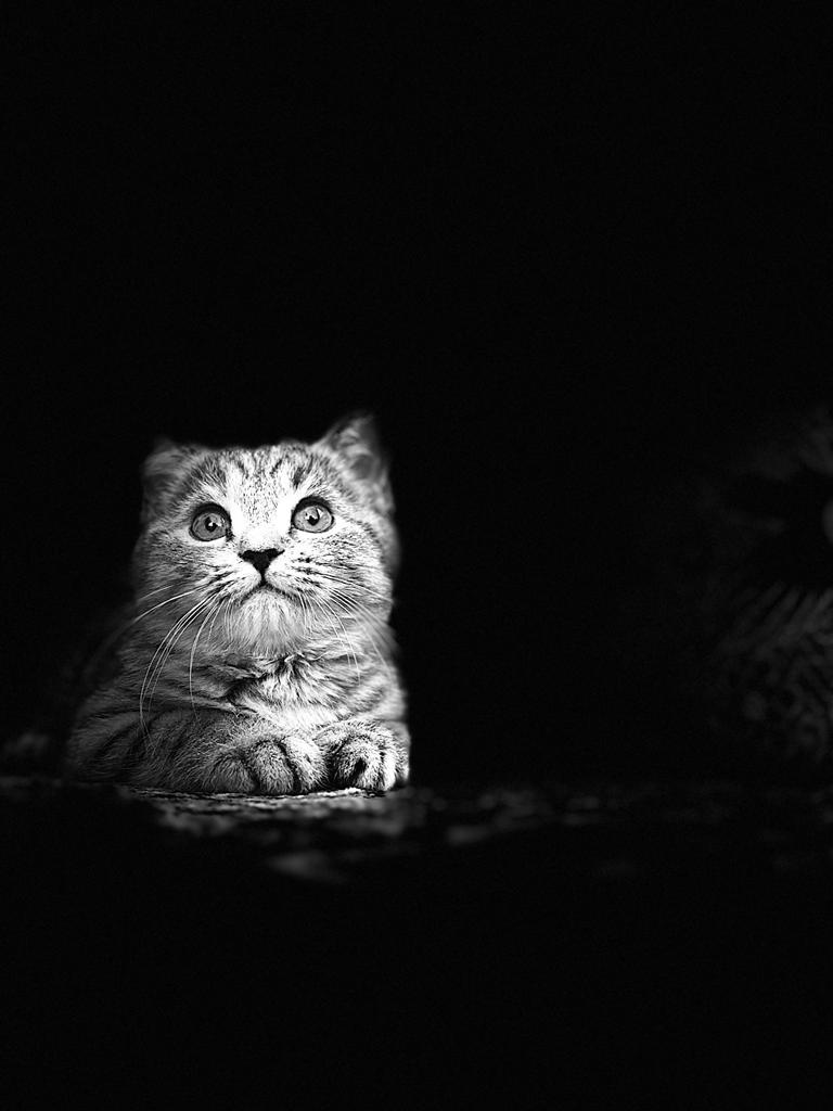 عبدالاله الاحمري