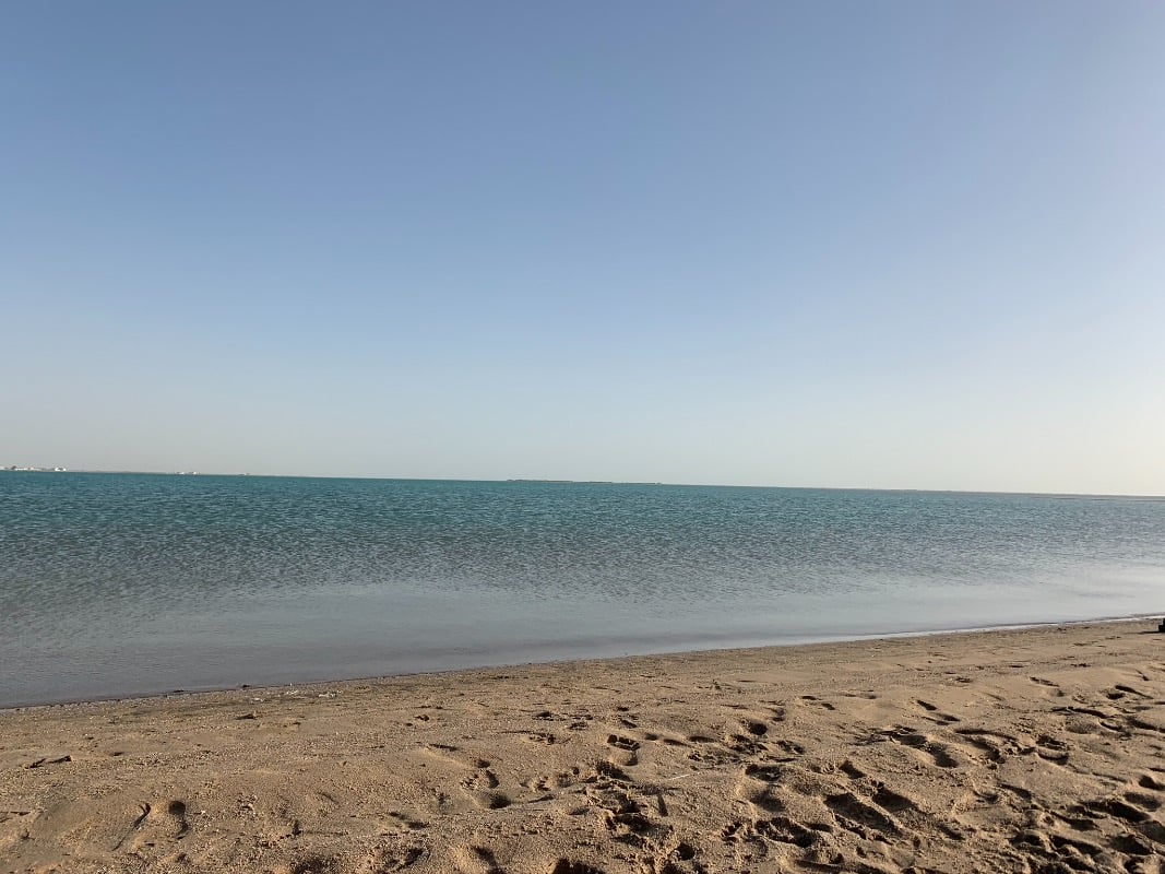 محمد الحربي