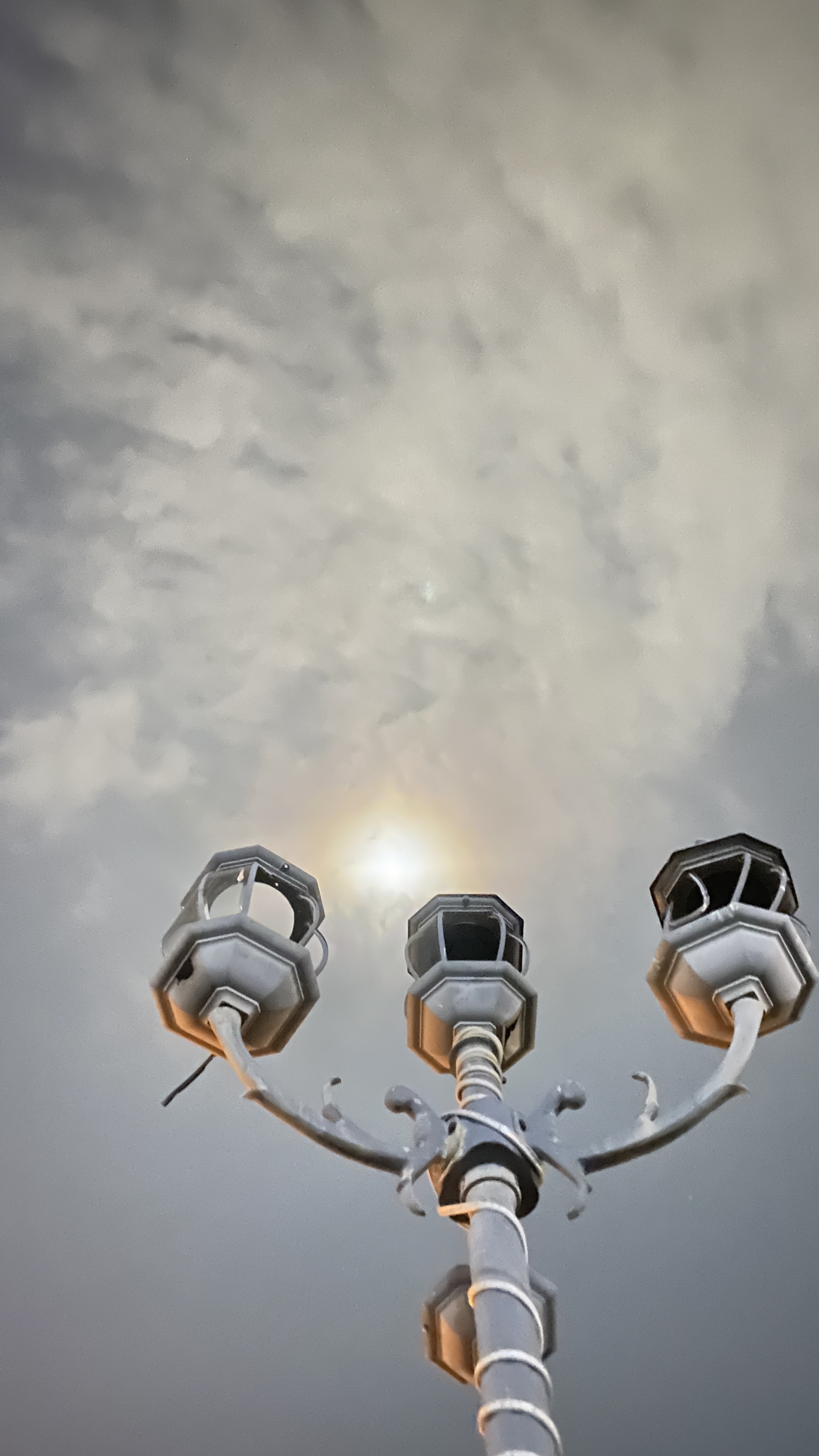 عبدالعزيز ال