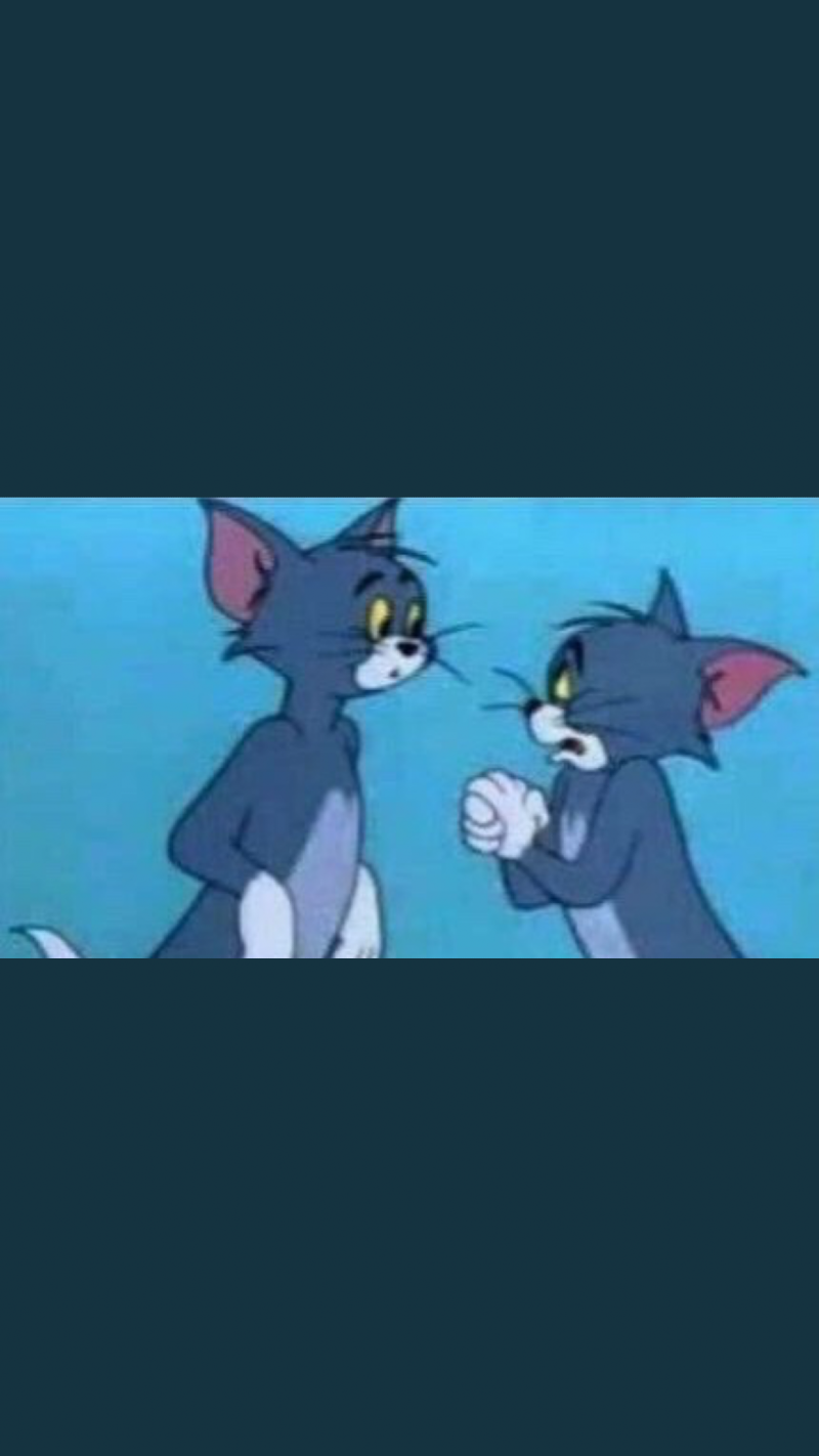 نورة ال مسيعد