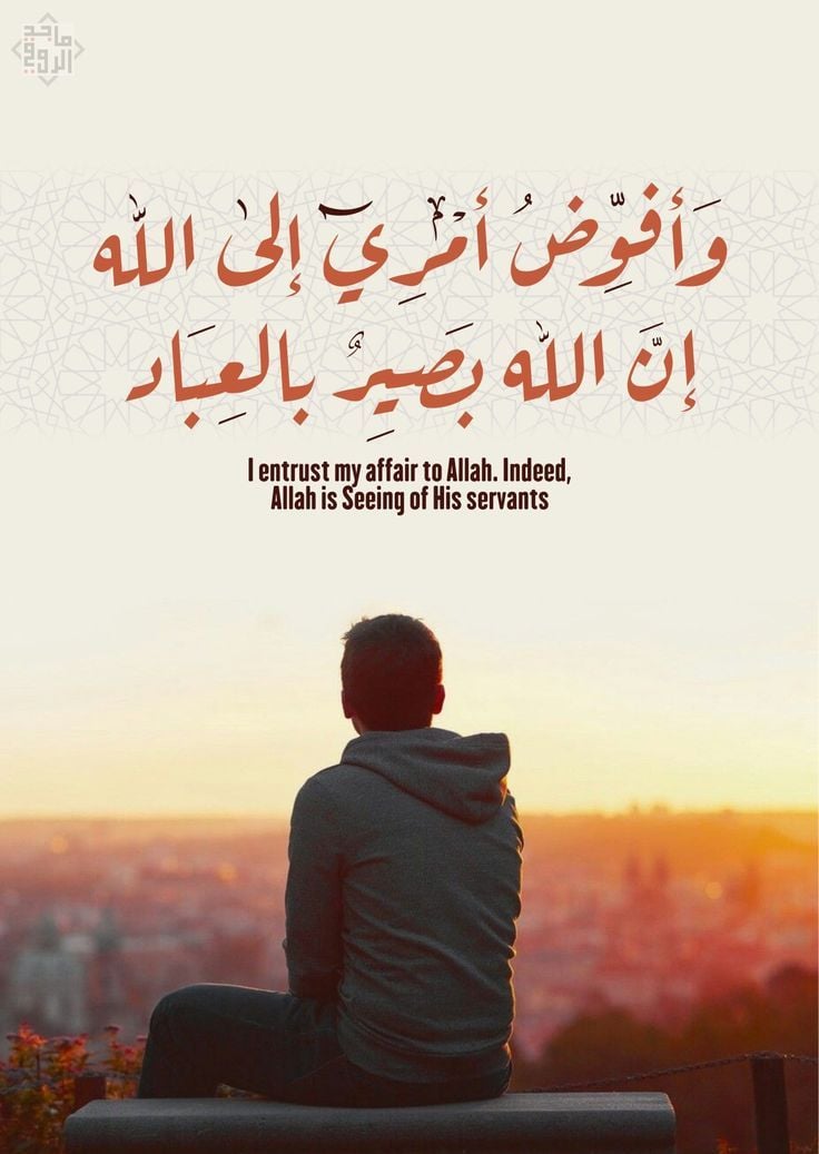 mohamed 