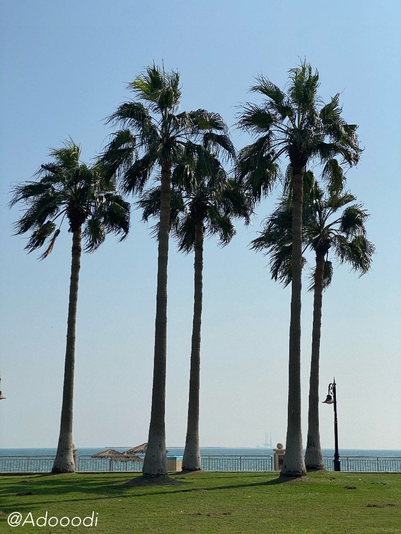 عهود المصلوخ