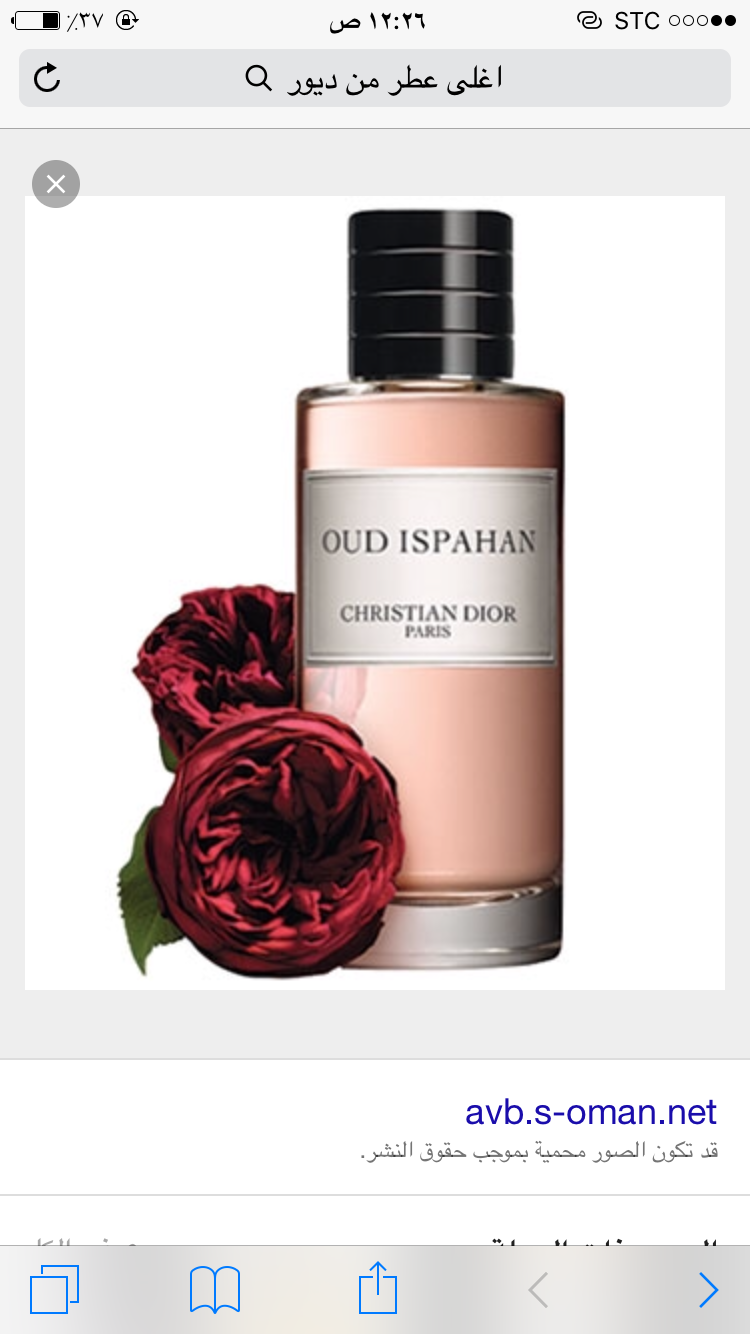 الفجر المبتسم