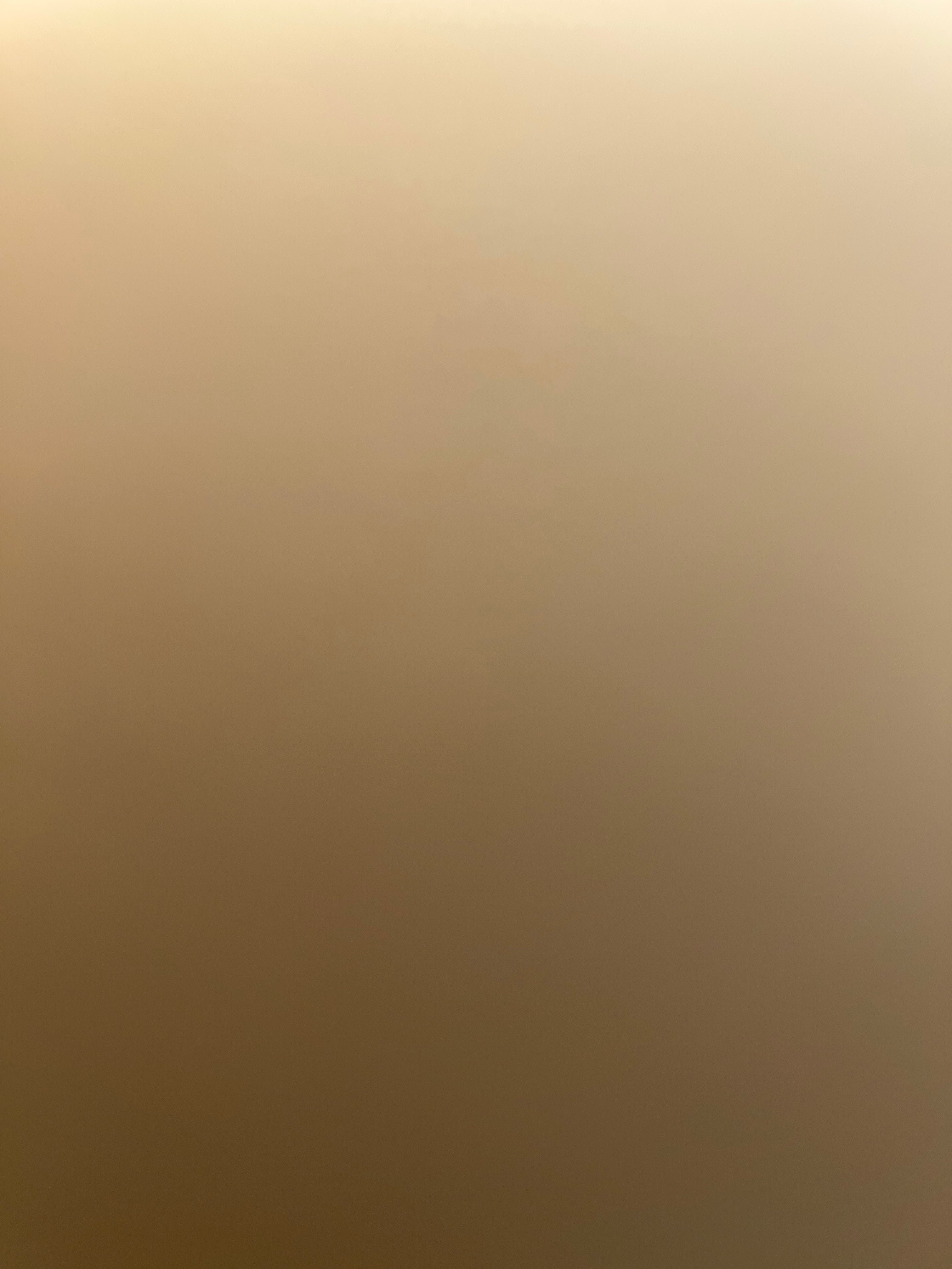 محمد الفقيه